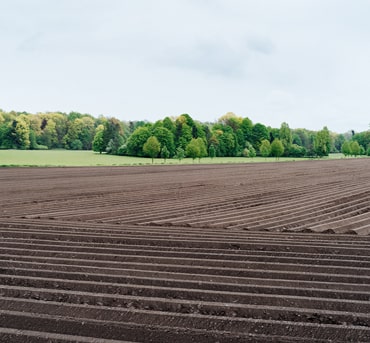 Agriculture